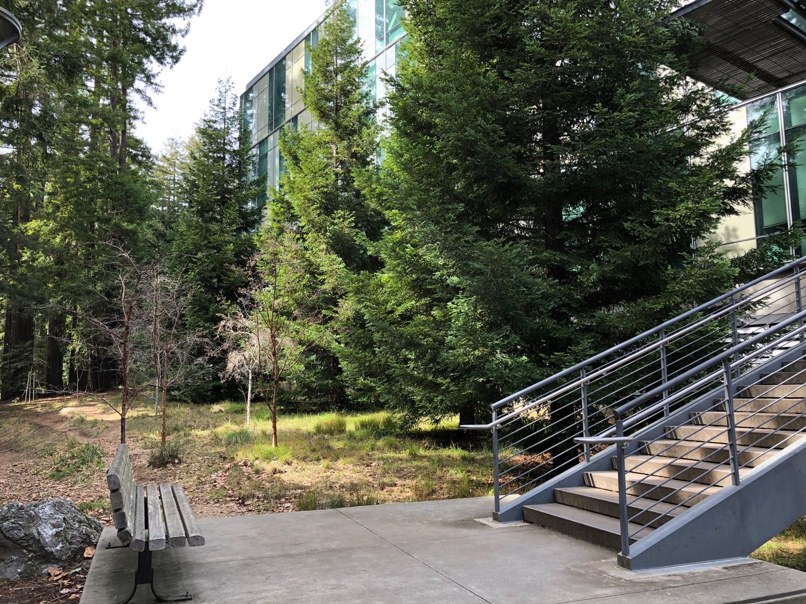 A staircase from a building leads to a trail head.